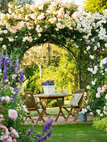 187 6 Tô sắc thơ mộng cho lối vào nhà vườn với cổng hoa 