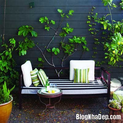 y tuong thiet ke patio nha ban 8 Ý tưởng thiết kế đẹp hoàn hảo cho patio nhà bạn