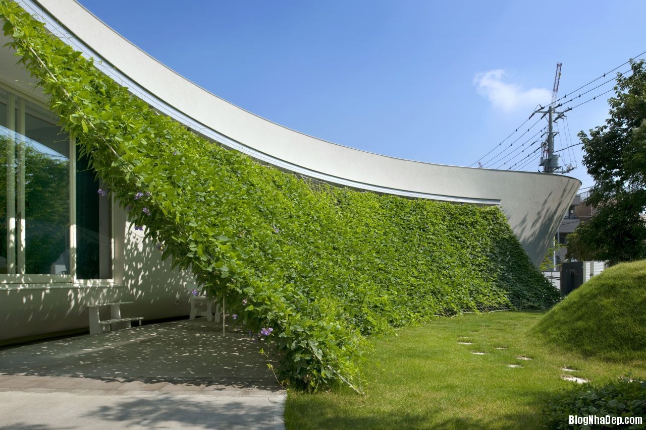 architecture Green Screen House Ngôi nhà xanh trẻ trung ở Nhật Bản