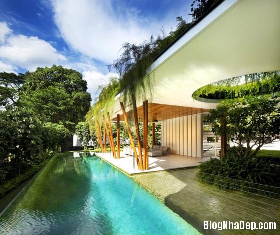 f5a35f15373908aa4ec7a34630c6f1f3 Ngôi nhà sân vườn xanh mát ở Singapore