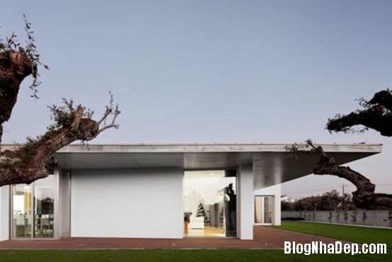 3f99e799fbea77c7841db0b69adbd2bf Ngôi nhà ấn tượng với thiết kế minimalist ở Bồ Đào Nha