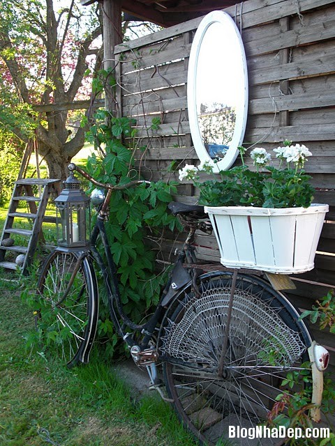d7f7f270ebe6d30a3df7e12900f94df1 Tận dụng xe đạp cũ trang trí cực xinh cho khu vườn