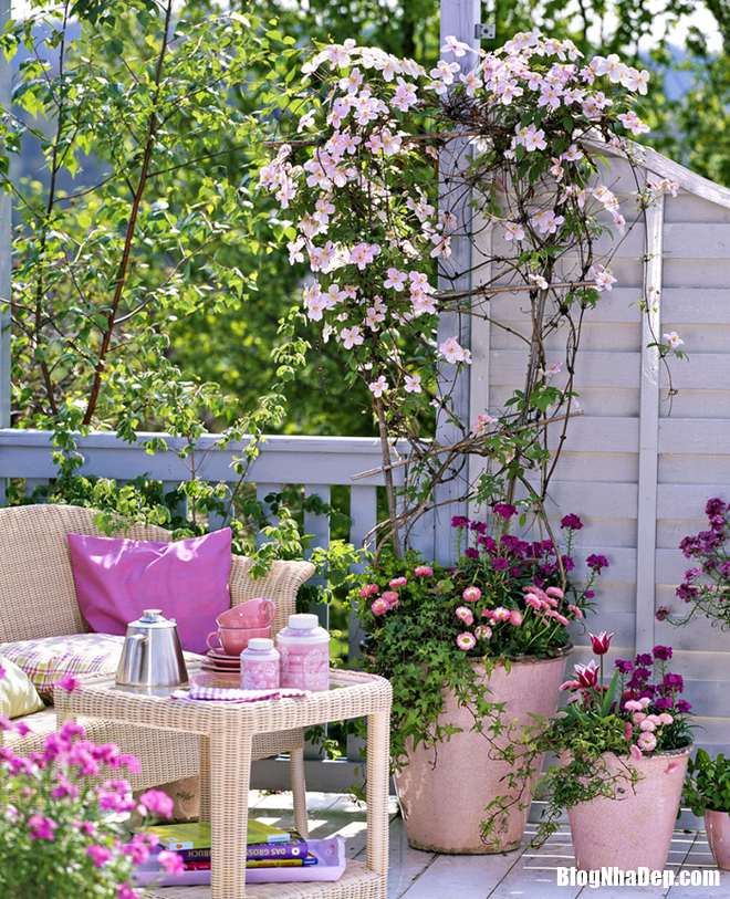 10 Trang trí những góc thư giãn cực bắt mắt trong nhà với hoa và cây xanh