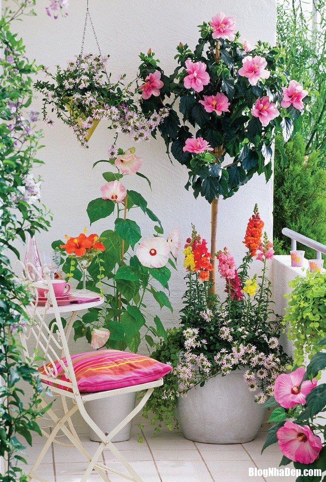 412 Trang trí những góc thư giãn cực bắt mắt trong nhà với hoa và cây xanh