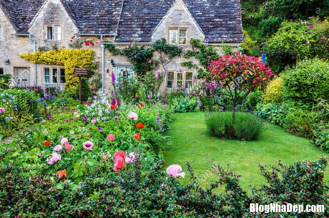 a pretty english cottage garden in the cotswold village of bibury dhkj0y 15438871456961308542577 Những ngôi nhà tràn ngập sắc hoa mang vẻ đẹp cổ kính của châu Âu