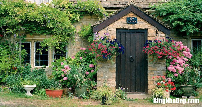 ivy cottage ii lower slaughter england1024x1024 15438871457191226233240 Những ngôi nhà tràn ngập sắc hoa mang vẻ đẹp cổ kính của châu Âu