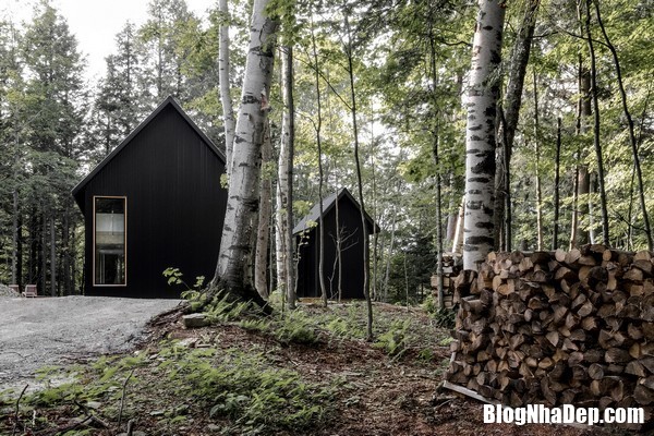 goi y tuyet voi cho dai gia thich lam nha trong rung Nhà cabin trong rừng ấn tượng với màu sắc và chất liệu xây nhà