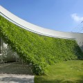 architecture-Green-Screen-House